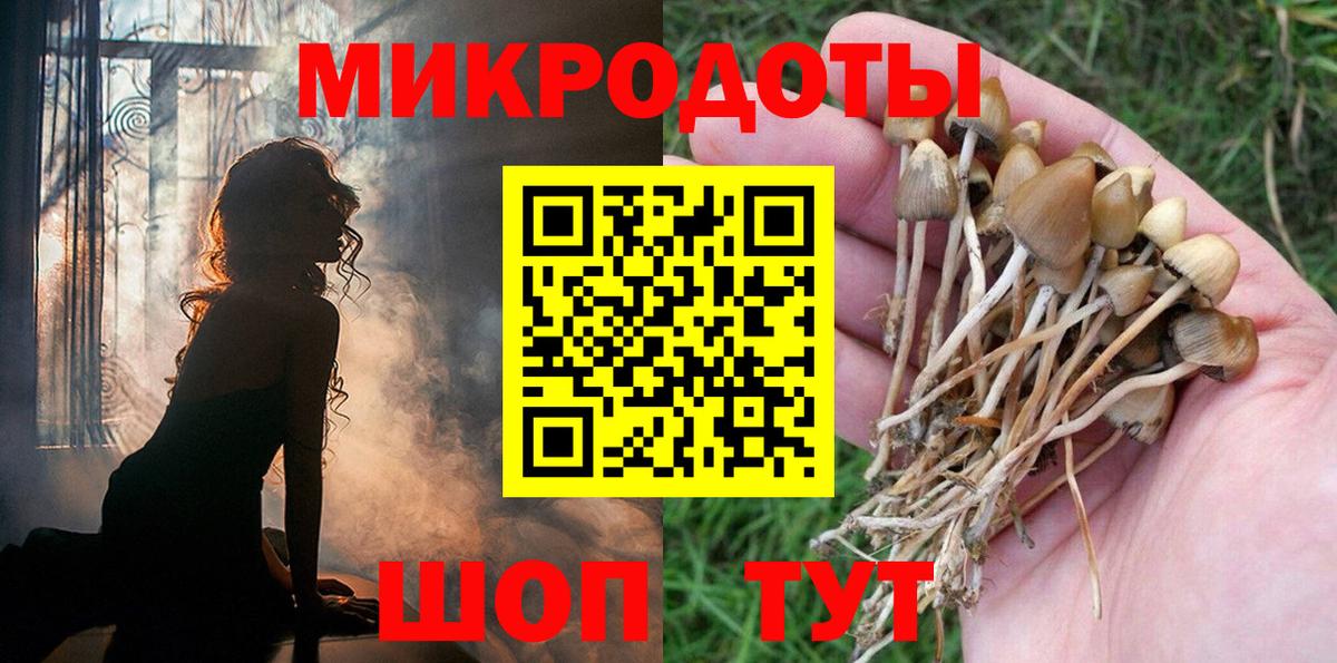 Псилоцибиновые грибы MAGIC MUSHROOMS  Галлюциногенные грибы Cubensis  Вход с VPN  Саяногорск 